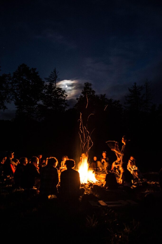 bonfire, people, night, nature, group, community, fire, forest, outdoors, moon, silhouette, dark